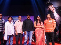 Srimannarayana Movie Audio Release